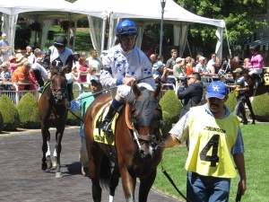 Million Day 2013 010