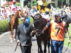 Million Day 2013 013