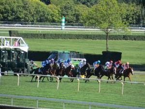 Million Day 2013 107