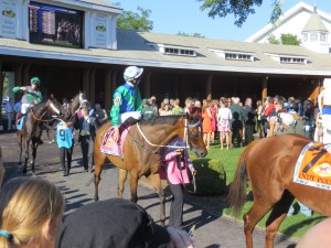 Million Day 2013 267 - Copy - Copy