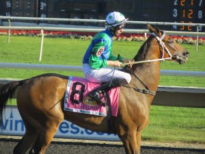 Million Day 2013 283