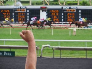 root on your winner 7-12-14